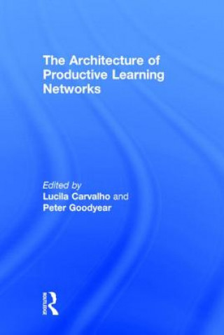 Architecture of Productive Learning Networks