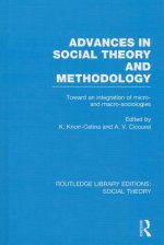 Advances in Social Theory and Methodology (RLE Social Theory)