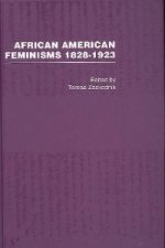 African American Feminisms, 1828-1923