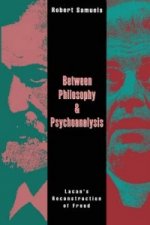 Between Philosophy and Psychoanalysis