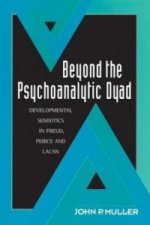 Beyond the Psychoanalytic Dyad