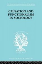 Causation and Functionalism in Sociology