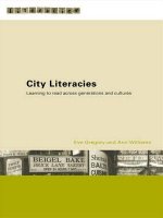 City Literacies