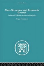 Class Structure and Economic Growth