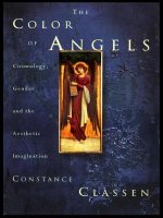 Colour of Angels