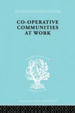 Co-Operative Communities at Work