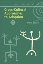 Cross-Cultural Approaches to Adoption