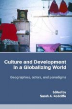 Culture and Development in a Globalizing World