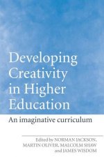 Developing Creativity in Higher Education