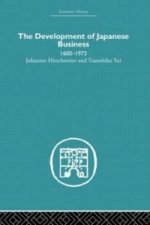 Development of Japanese Business