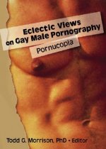 Eclectic Views on Gay Male Pornography