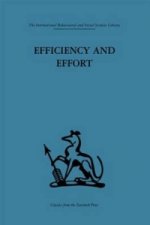 Efficiency and Effort