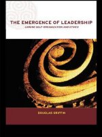 Emergence of Leadership