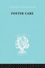 Foster Care: Theory & Practice (ILS 130)