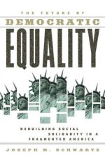 Future Of Democratic Equality