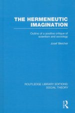 Hermeneutic Imagination (RLE Social Theory)