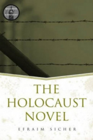 Holocaust Novel