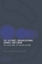 Internet, Organizational Change and Labor