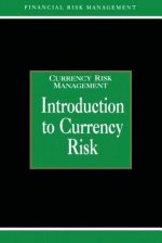 Introduction to Currency Risk
