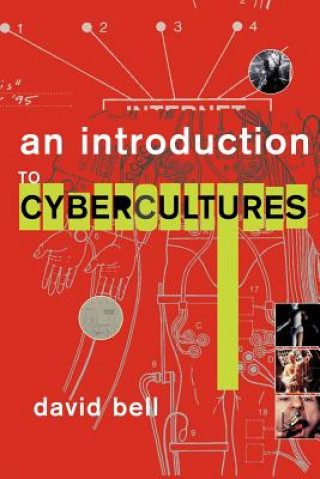 Introduction to Cybercultures