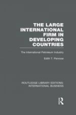 Large International Firm (RLE International Business)