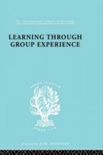 Learng Thro Group Exp  Ils 249