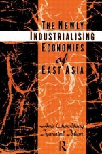 Newly Industrializing Economies of East Asia