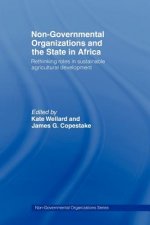 Non-Governmental Organizations and the State in Africa