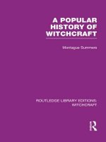 Popular History of Witchcraft (RLE Witchcraft)