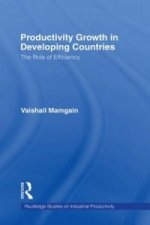 Productivity Growth in Developing Countries