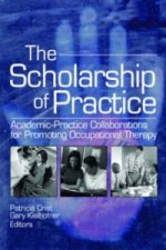 Scholarship of Practice