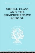 Social Class and the Comprehensive School
