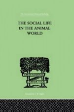 Social Life In The Animal World