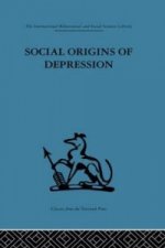 Social Origins of Depression