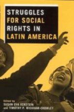 Struggles for Social Rights in Latin America