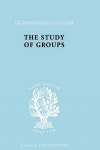 Study of Groups