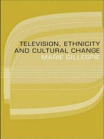 Television, Ethnicity and Cultural Change
