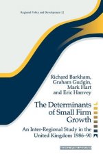 Determinants of Small Firm Growth