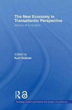 New Economy in Transatlantic Perspective