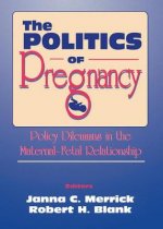 Politics of Pregnancy