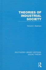 Theories of Industrial Society (RLE Social Theory)