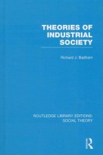 Theories of Industrial Society (RLE Social Theory)