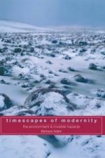 Timescapes of Modernity