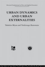 Urban Dynamics and Urban Externalities