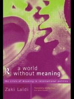 World Without Meaning