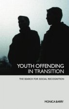 Youth Offending in Transition