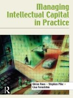 Managing Intellectual Capital in Practice