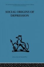 Social Origins of Depression