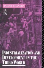 Industrialization and Development in the Third World