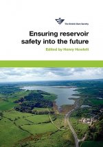 Ensuring Reservoir Safety into the Future